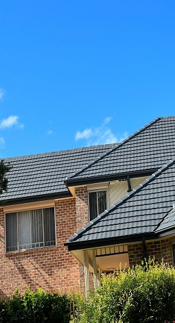 Sydney Roof Painting