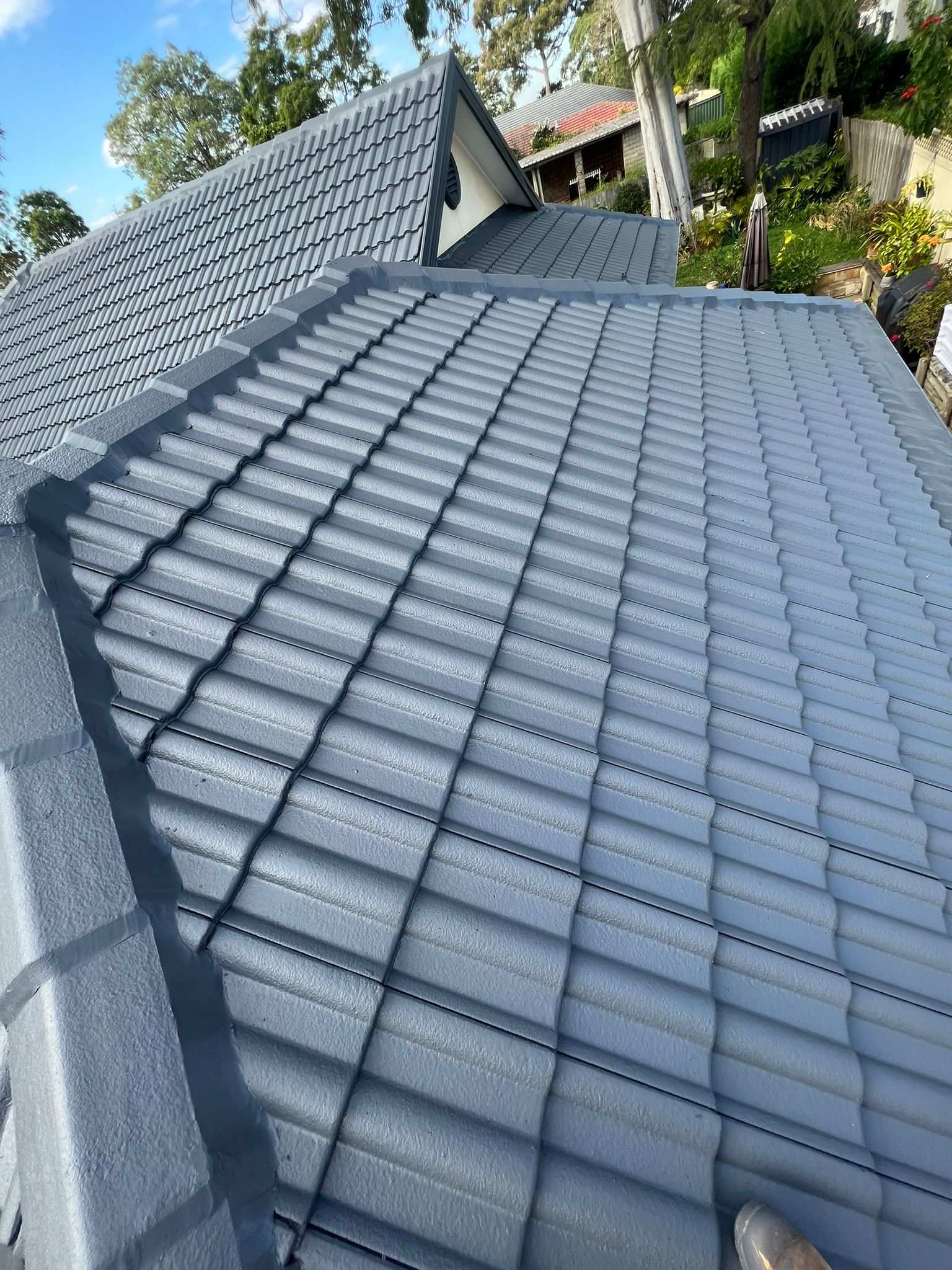 Roof Painting Services In Sydney