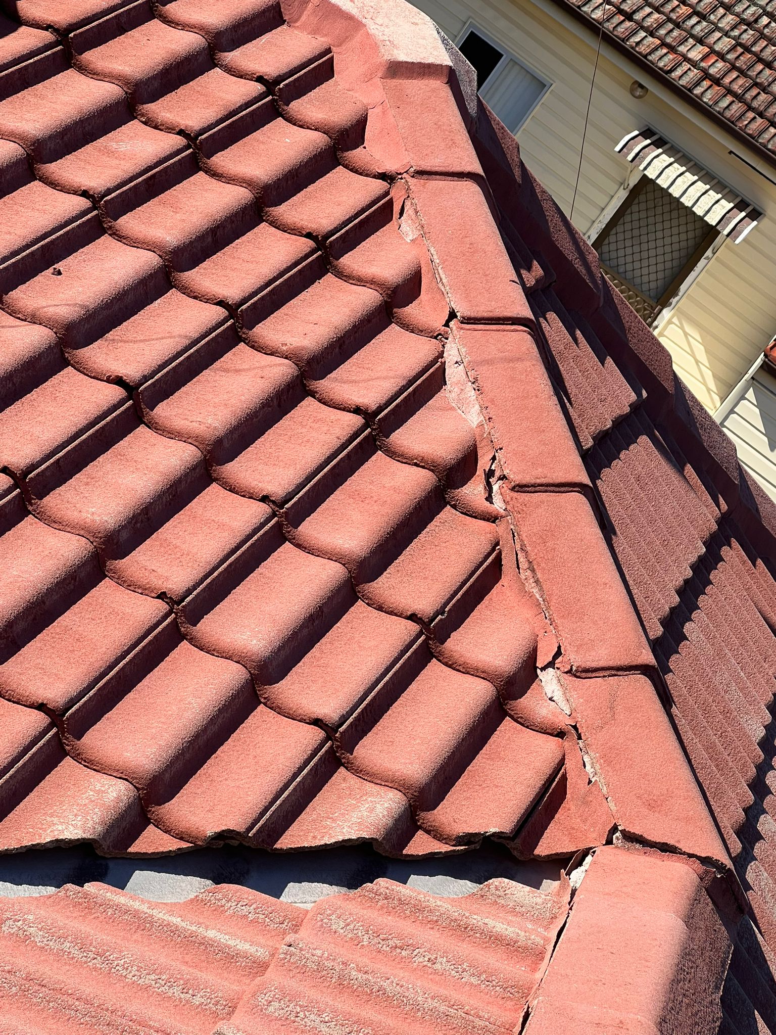 Roof Painting in Sydney