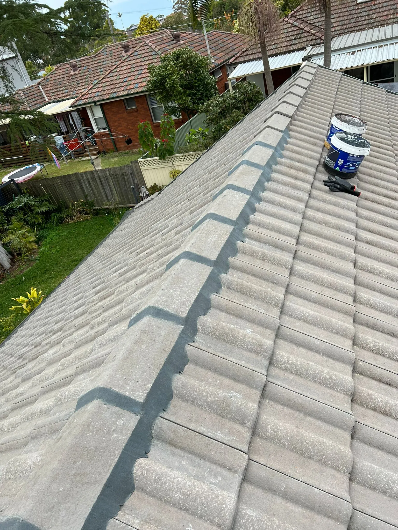 Roof Cleaning Sydney