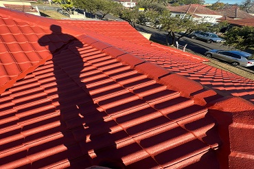 Roof Cleaning Sydney
