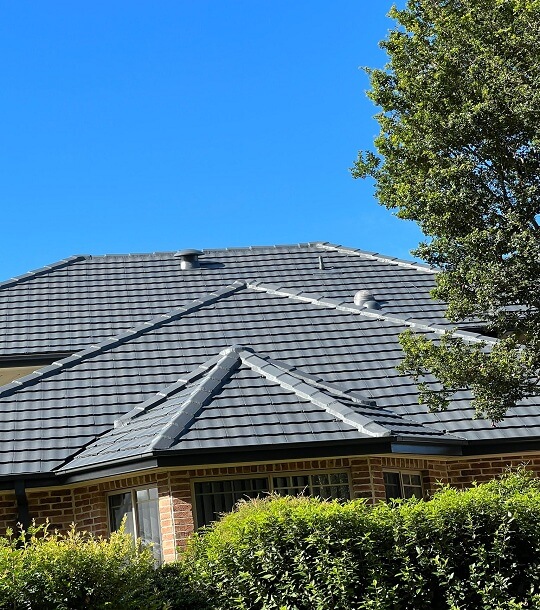 Roof Cleaning Sydney